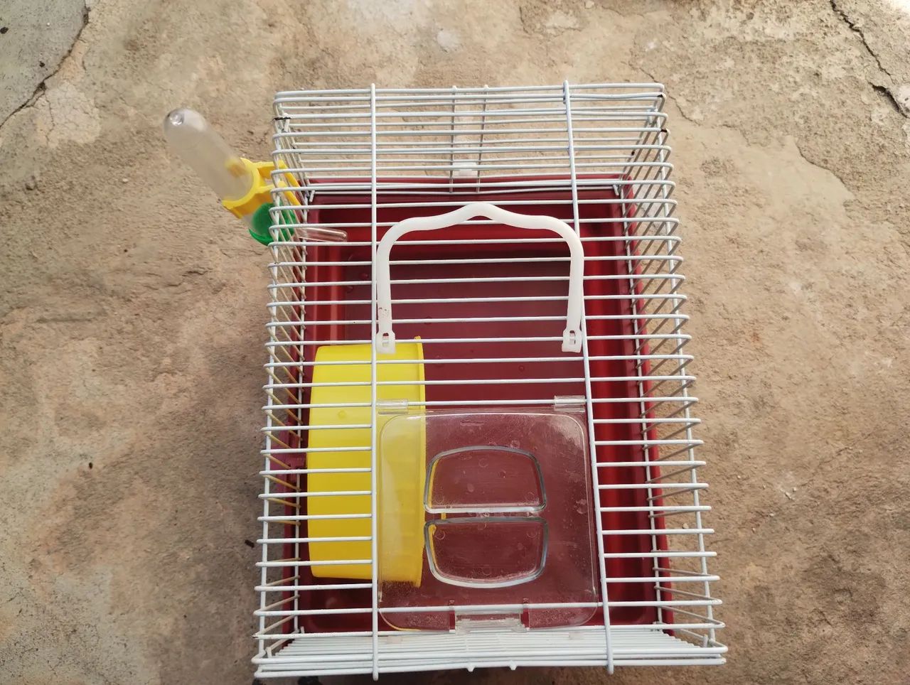 Gaiola pra hamster completa com roda e bebedouro 