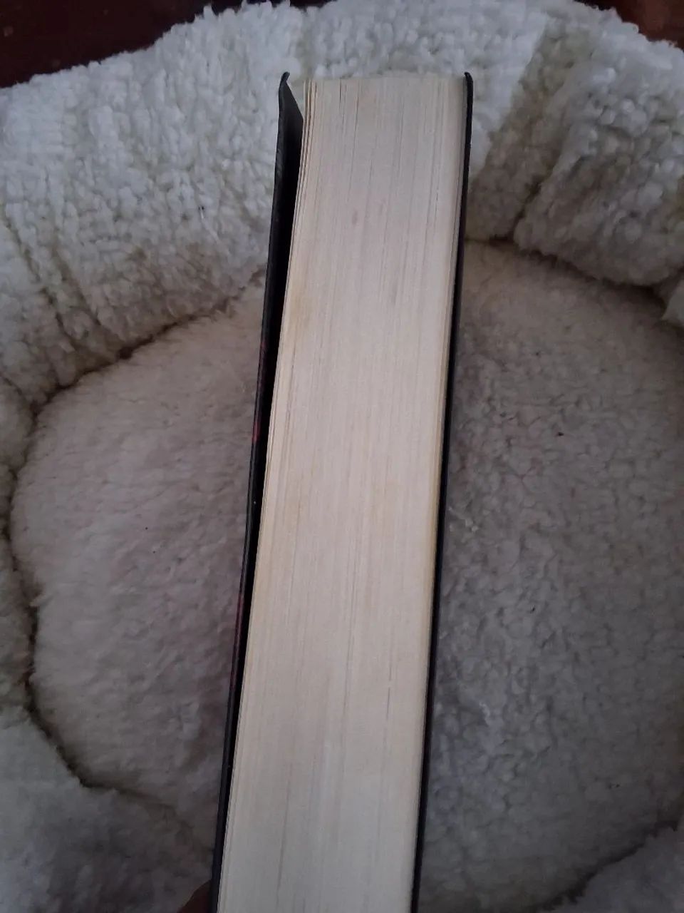 Livro de sangue e cinzas - Foto 3