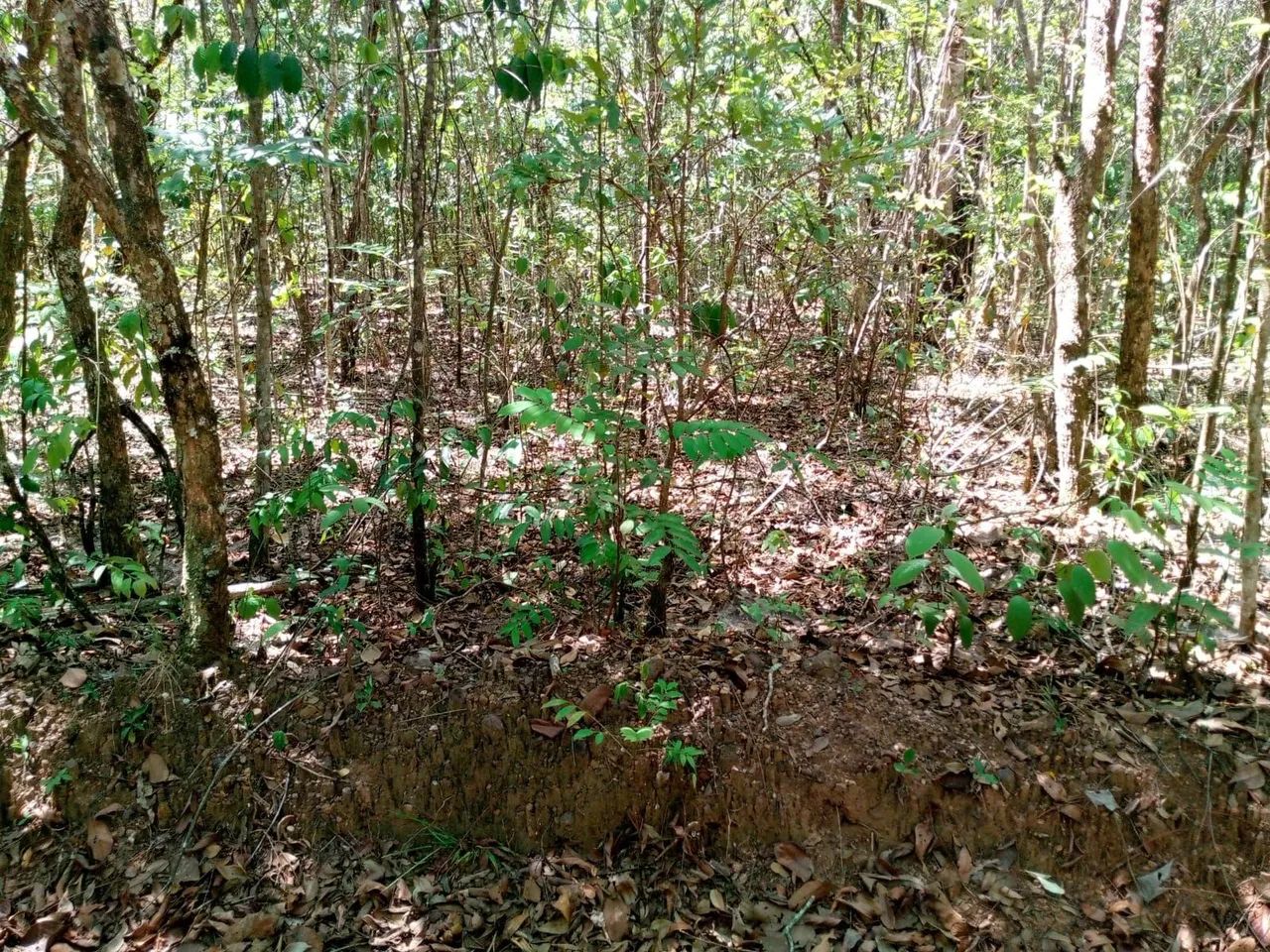 Chacara em Abadiania Documentada R$250000,00 - Foto 2