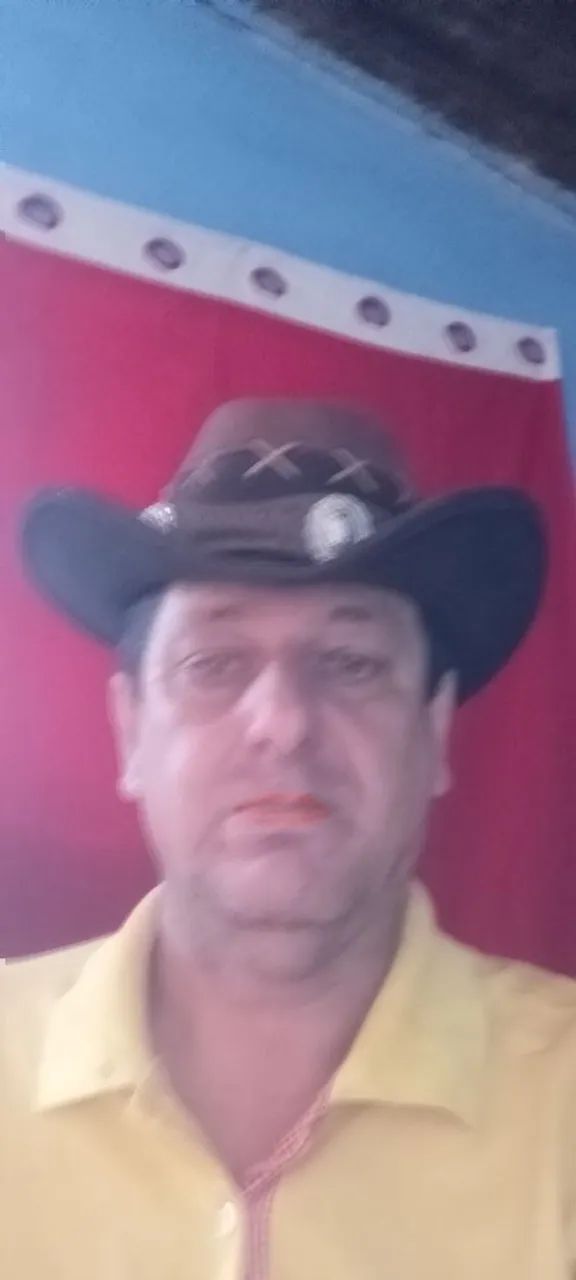 Caseiro para chácara - Foto 2