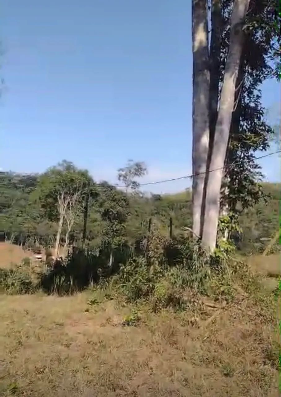 Terreno com container em Dias Tavares - Foto 4