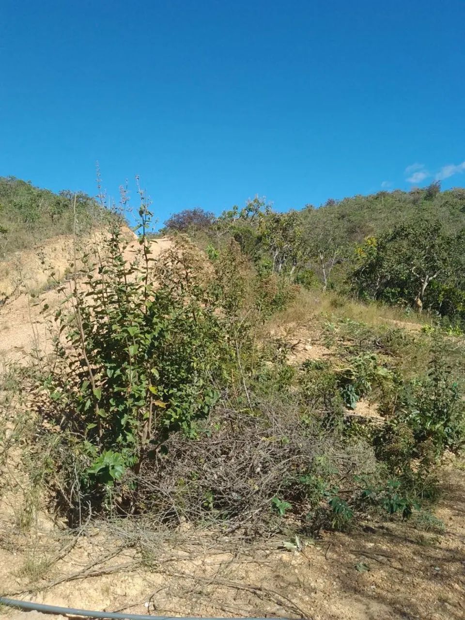Lote próximo à Serra do cipó - Foto 3