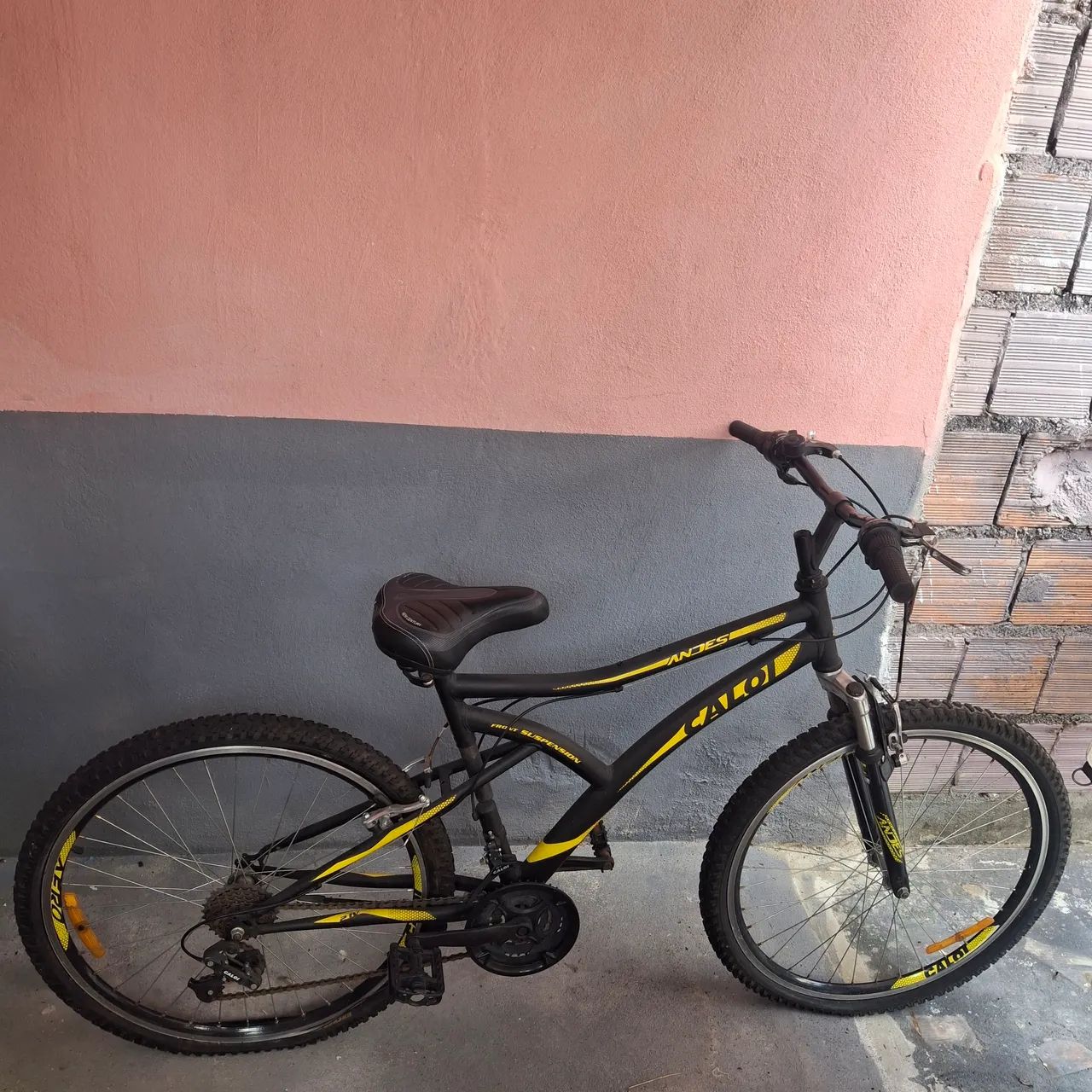 Bicicleta 