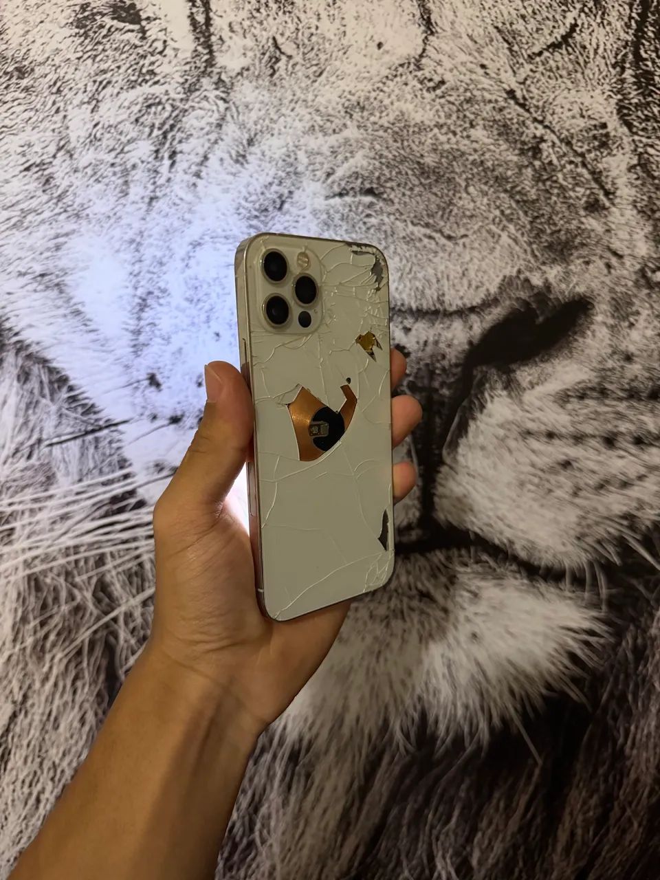iPhone 12 Pro 128gb  - Foto 4