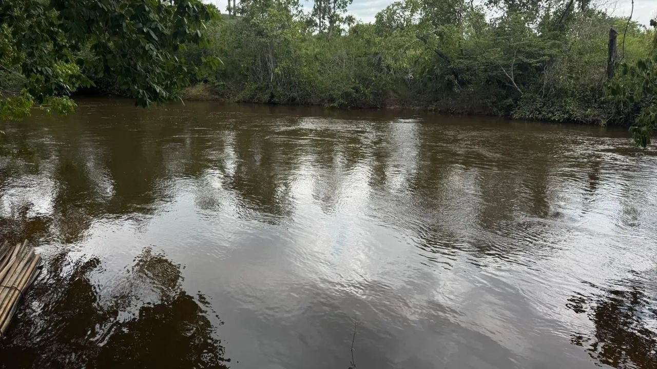 Vende-se Fazenda - Foto 4