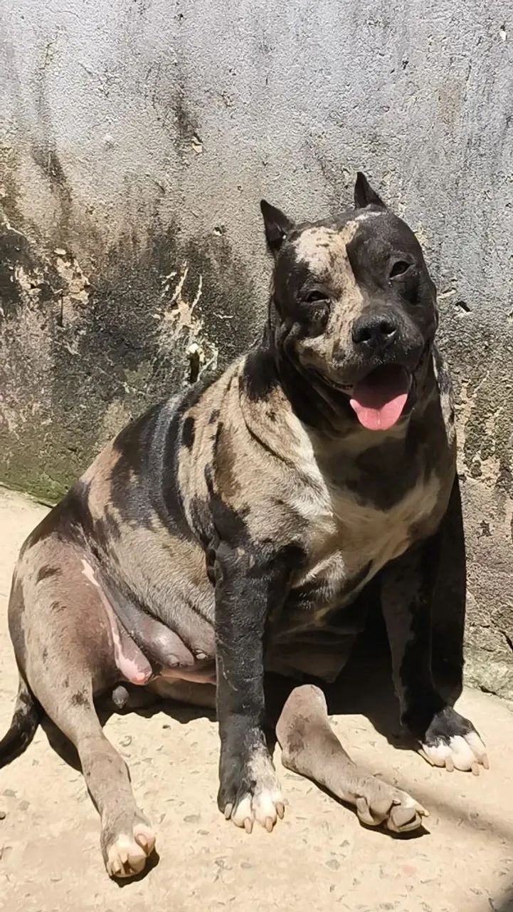 Faça sua reserva! - Foto 3