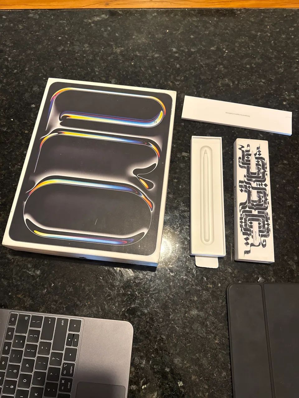 iPad Pro M4 13' 256gb WIFI, Apple Pencil Pro (excelente estado e