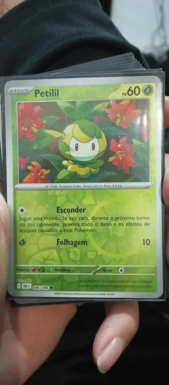 Cards Pokémon65579479839234125