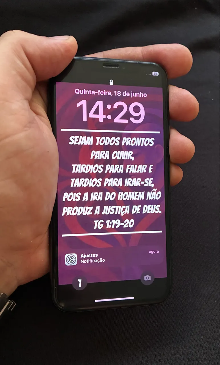 iphone x 256gb sem face id