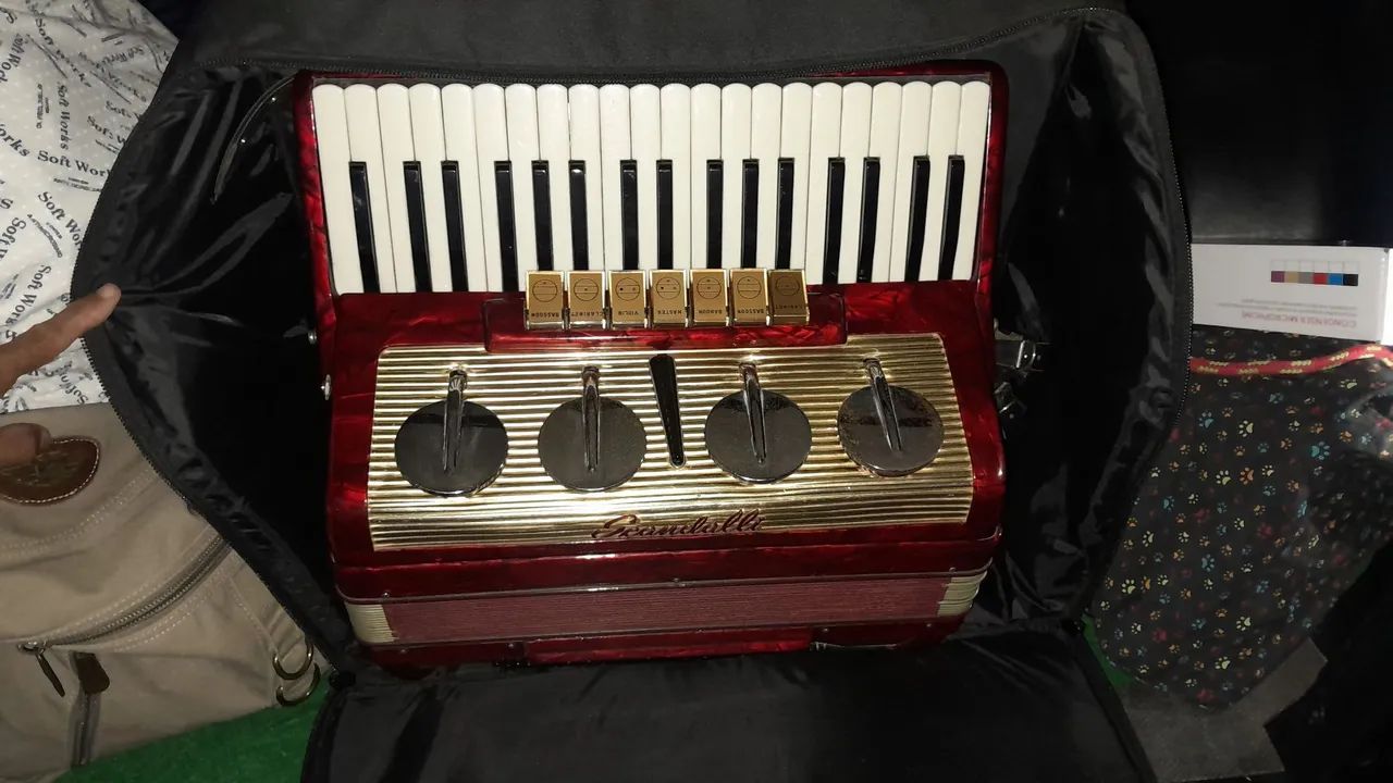 Acordeon  - Foto 2