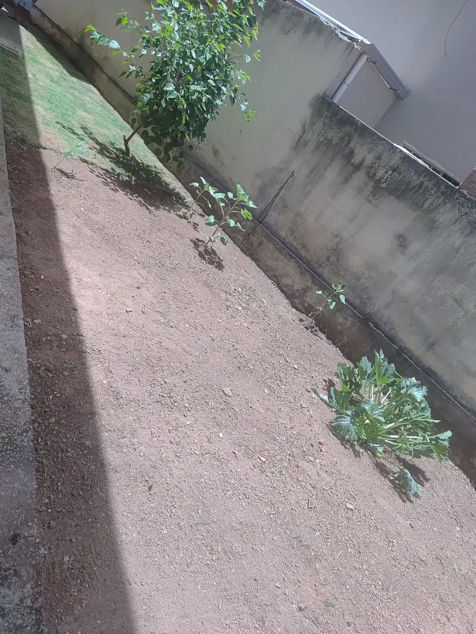 Jardineiro  - Foto 3