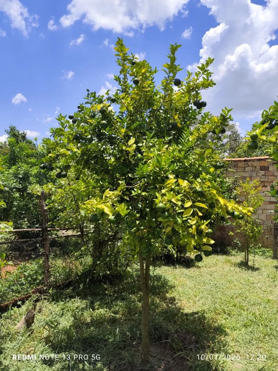 Foto - Sorocaba - Jardim São Camilo
