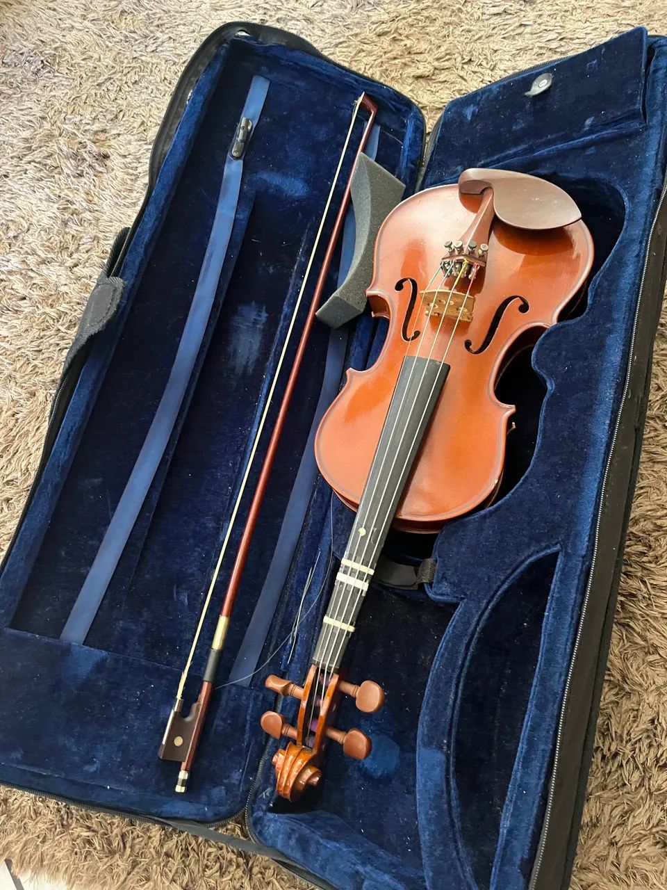Violino estrumento