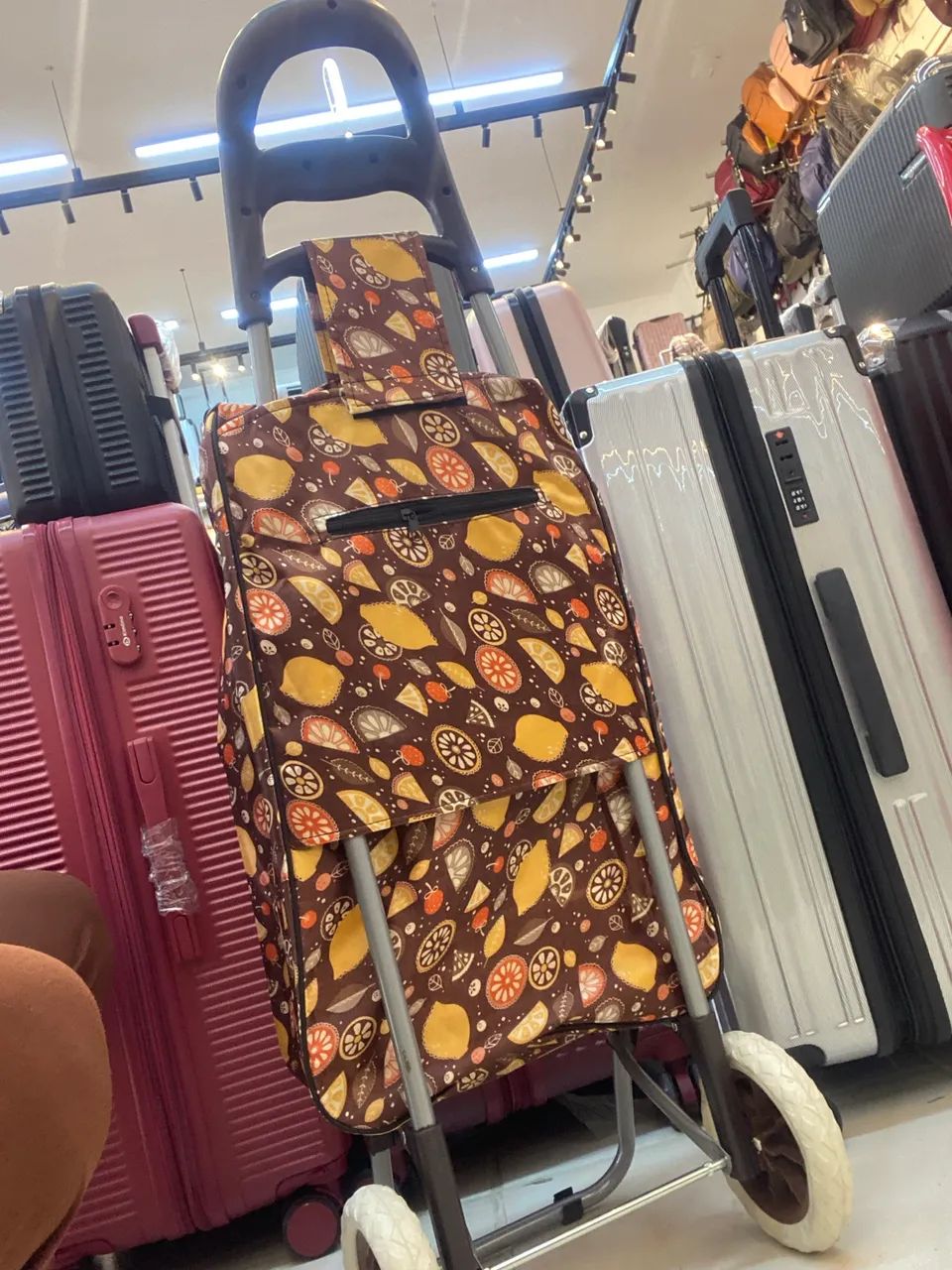 Carrinho de Feira e Compras Dobrável com Bolsa Estampada Impermeável - Foto 3