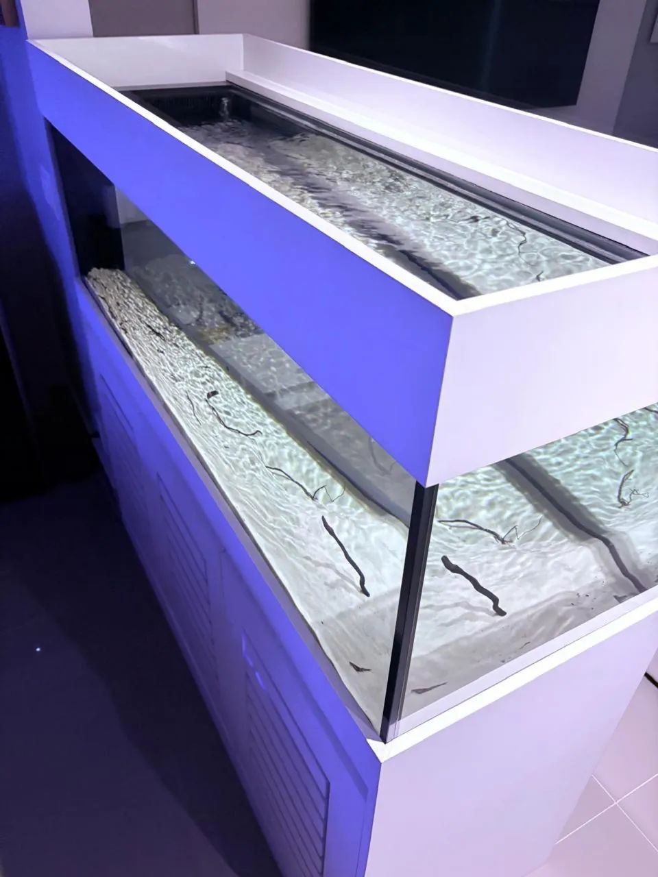 Aquário com Sump + Móvel  - Foto 2