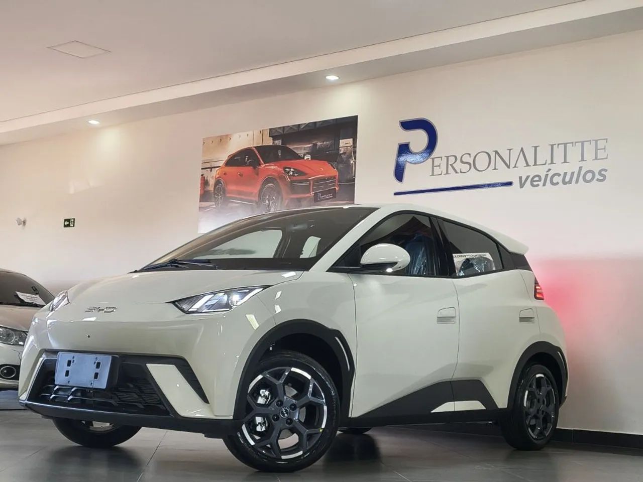 BYD Dolphin Mini (Elétrico) 2027