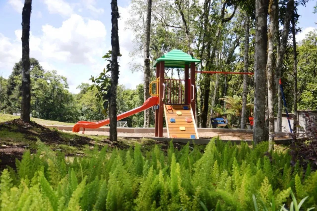 CAXIAS DO SUL - Terreno Padrão - PEDANCINO - Foto 6