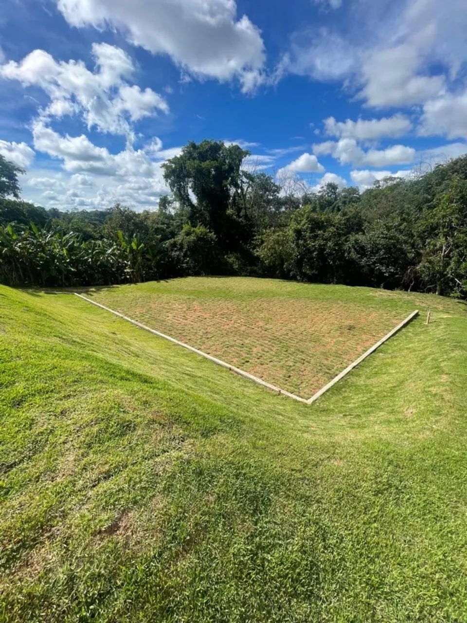 Foto - Goiânia - Condomínio Privê das Oliveiras