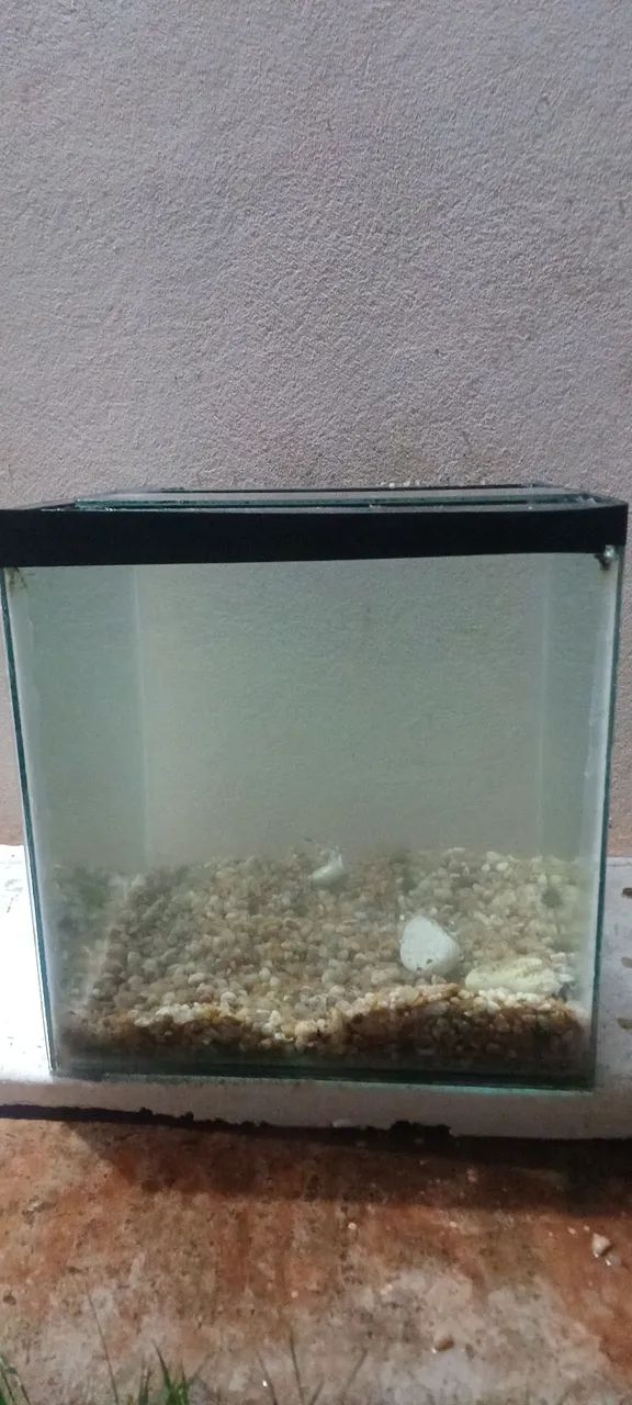 Vendo aquario de 64 litros