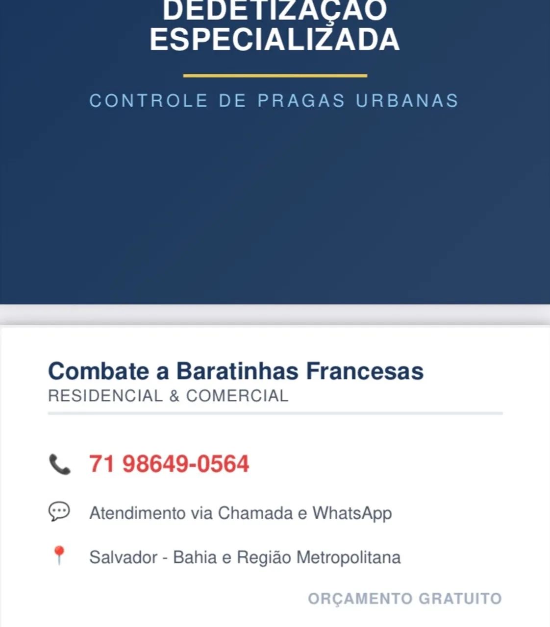 Detetização de Baratinhas Francesas