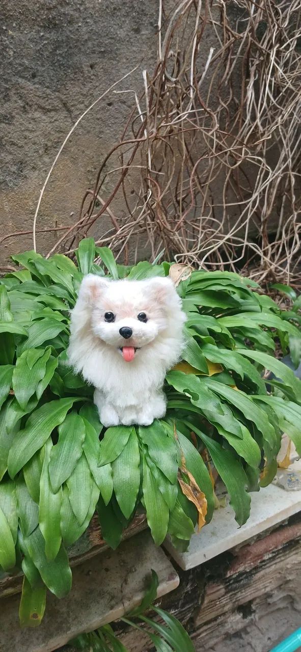 Mini dog - Foto 4