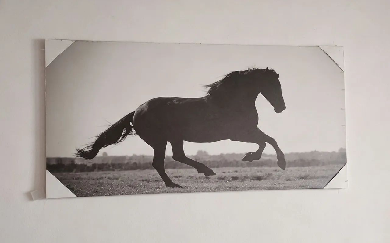 Quadro  - Foto 2