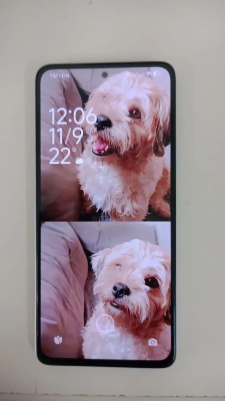 Celular 