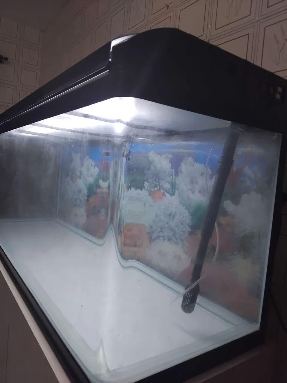 Aquário curvo electrical rs 1m 50 347litros
