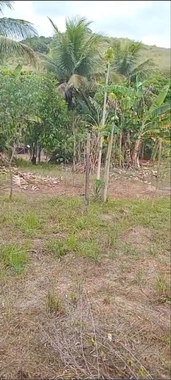 Vendo terreno [ BICUDA PEQUENA ] - Foto 5