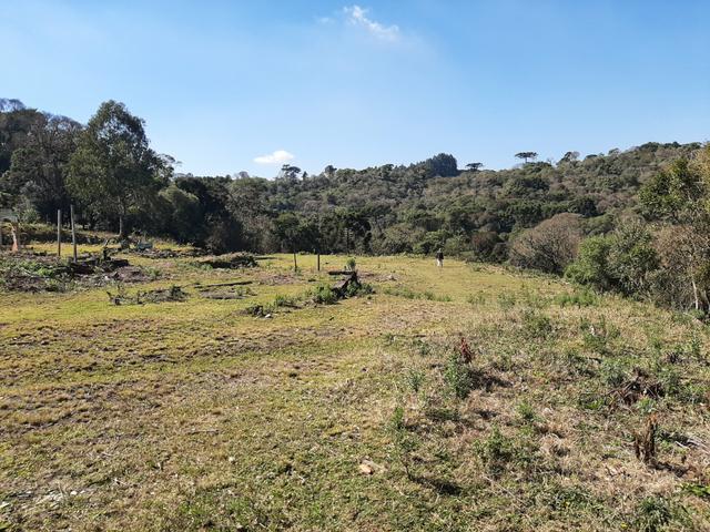 Terreno de 9.761 m² Guarapuava PR . px da Polijuta - Foto 16