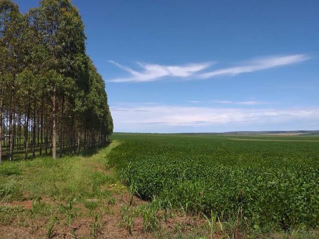 Fazenda para Soja com 6.200 hectares - Foto 3