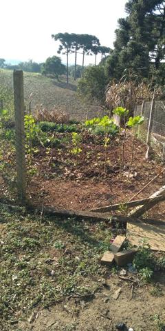 Área Colônia Zacarias - Foto 12