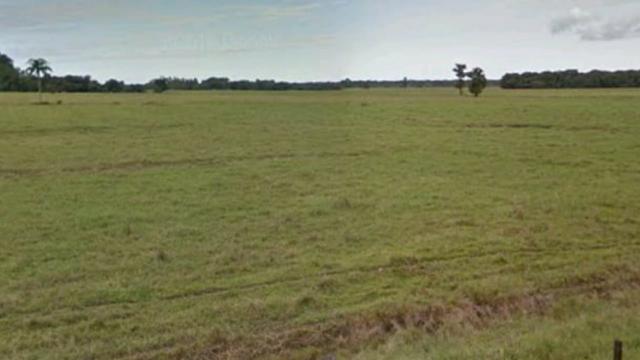 Fazenda Uma das Maiores da Região para Plantio ou Criação de Gado, Toda Plana - Foto 2