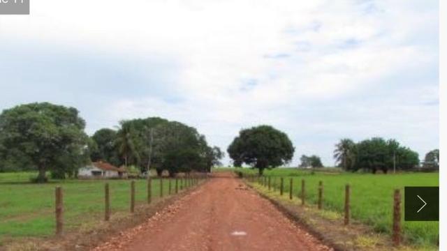 Sítio com estrutura de Fazenda - Foto 14