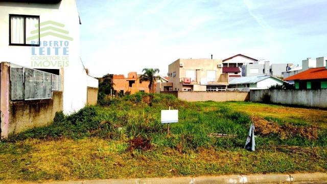Terreno, Protásio Alves, Porto Alegre-RS - Foto 6