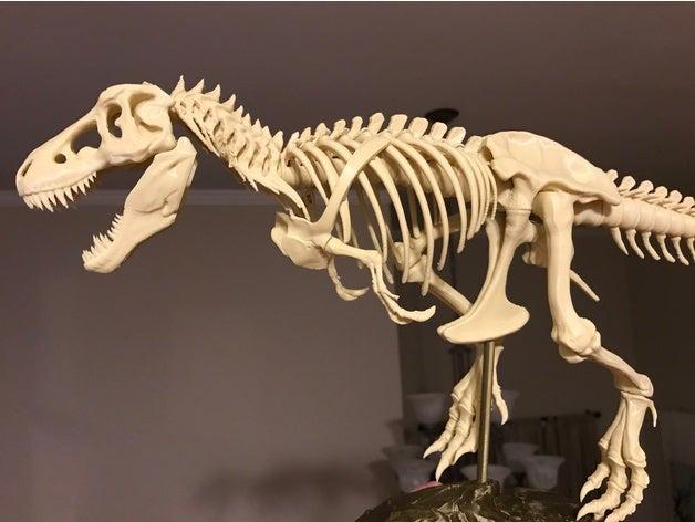 Esqueleto completo de T REX