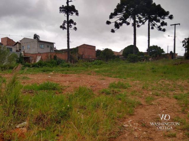 Terreno à venda, 4990 m² por r$ 1.700.000,00 - santo antônio - são josé dos pinhais/pr