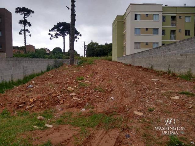 Terreno à venda, 4990 m² por r$ 1.700.000,00 - santo antônio - são josé dos pinhais/pr - Foto 3