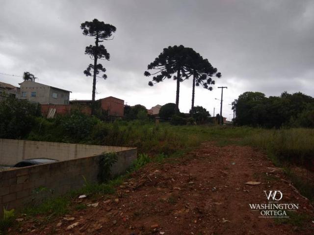 Terreno à venda, 4990 m² por r$ 1.700.000,00 - santo antônio - são josé dos pinhais/pr - Foto 4