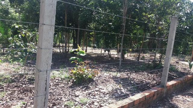 Terreno excelente - Foto 4