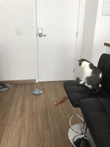 Hotel de cachorro/gato * cuidadora de pets * hospedagem