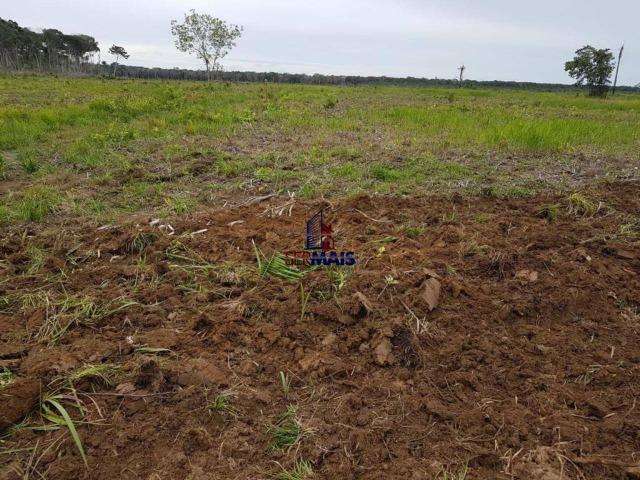 Fazenda à venda, por R$ 25.000.000 - Zona Rural - Humaita/AM - Foto 12