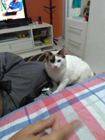 Doação