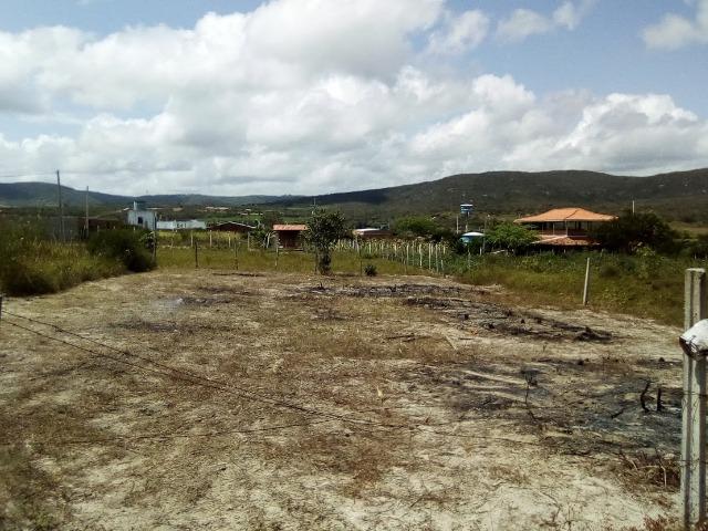 Vendo ou Troco lote 15 x 30 em bezerros - Foto 2