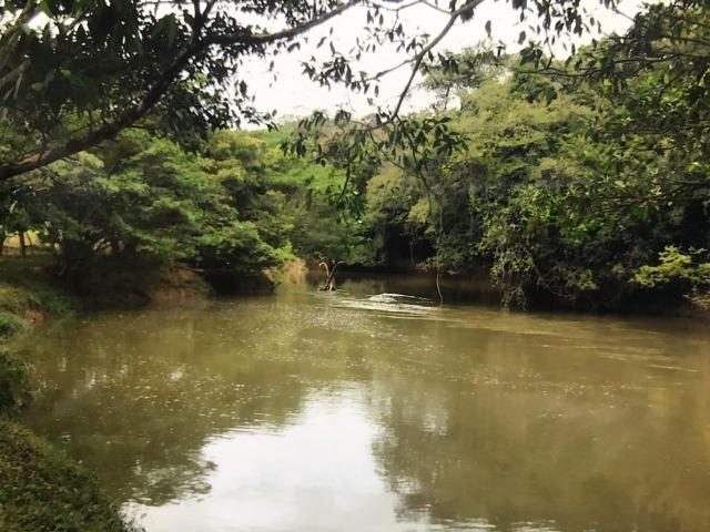 Chácaras em Luziânia à partir de 1.562 metros quadrados - Foto 4