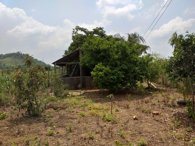 Vendo ou troco chácara - Foto 3