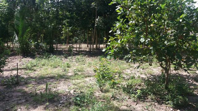 Terreno excelente - Foto 3