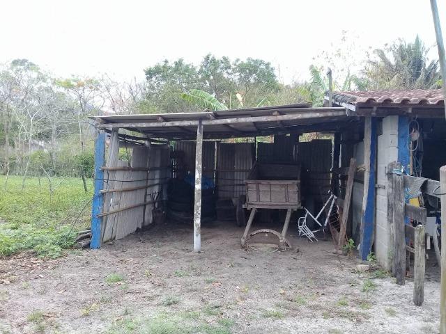 Sítio no bairro Chavão/Santo Antonio, Cabo Frio-RJ. 6.000m² - Foto 10