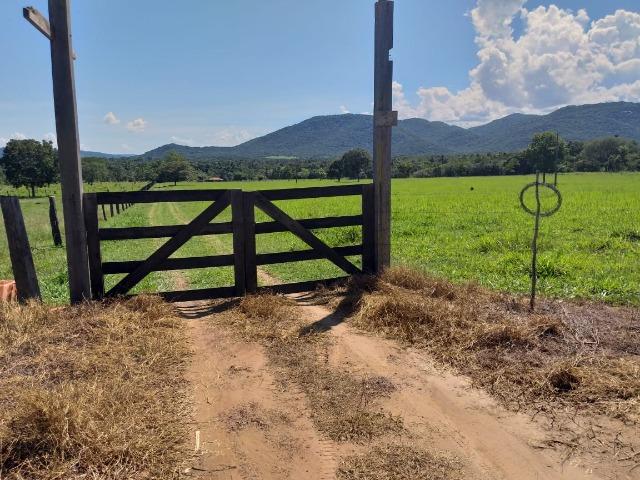 Vendo chácara na agrovila das palmeiras porteira fechada - Foto 8