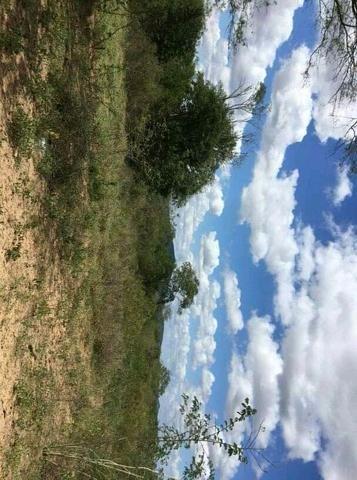 Lotes Para Chácara Na Estiva - Foto 2